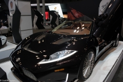 NYAutoShow2017-34