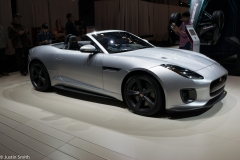 NYAutoShow2017-35
