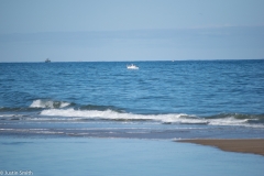 CapeCod-19-of-63
