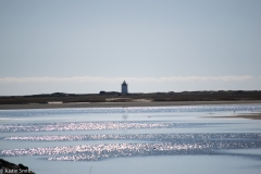 CapeCod-25-of-63