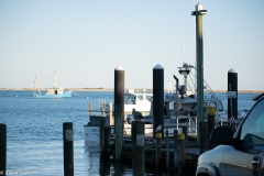 CapeCod-28-of-63