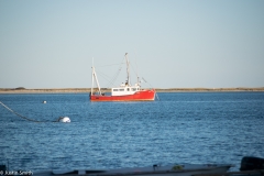 CapeCod-30-of-63