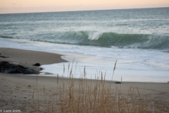 CapeCod-46-of-63