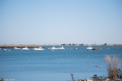CapeCod-60-of-63